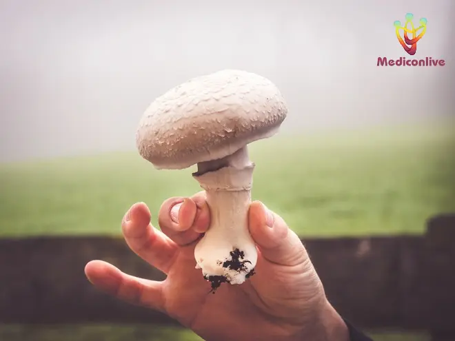 Can You Smoke Shrooms or Magic Mushrooms