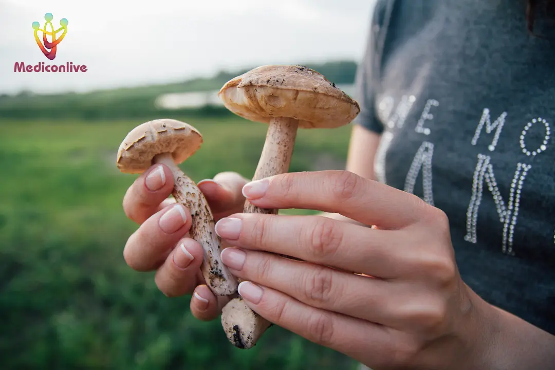 Can You Smoke Shrooms or Magic Mushrooms